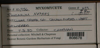 Image Associated With the Occurence